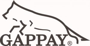 LOGO GAPPAY