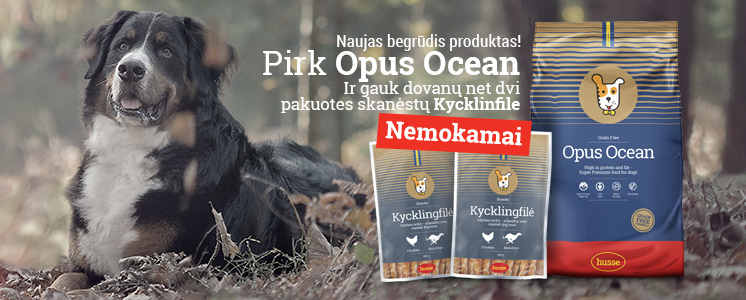 Opus Ocean