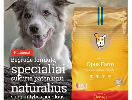 NAUJIENA šunims – jau Lietuvoje!