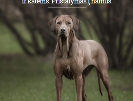 Husse PRO katalogas 2017