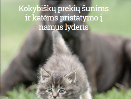Husse katalogas 2017