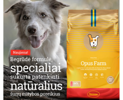 NAUJIENA šunims – jau Lietuvoje!