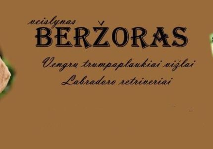 Veislynas Beržoras