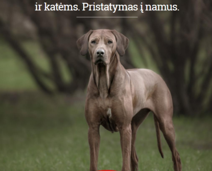 Husse PRO katalogas 2017