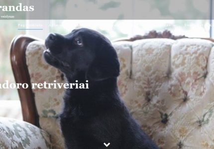Husse veisejų klube – Tai Grandas