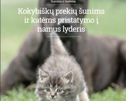 Husse katalogas 2017
